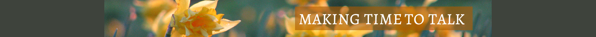 HP Banner 2 Online therapy